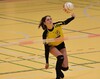 VORSCHAU - 7. Runde Faustball Hallenbundesliga