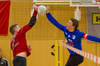 Vorschau Faustball Bundesliga Halle