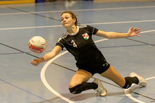 Vorschau Faustball Bundesliga Halle