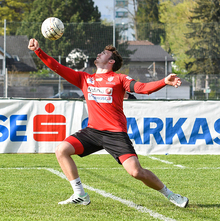 Ergebnisse Faustball Bundesliga Männer