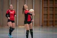 ERGEBNISSE - 7. Runde Faustball Hallenbundesliga