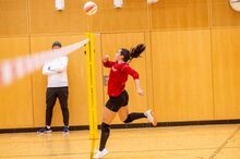 Ergebnisse Faustball Bundesliga Frauen