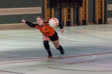 Vorschau Faustball Bundesliga Frauen