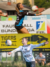 Ergebnisse Faustball Bundesliga