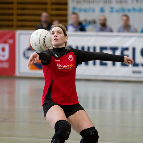 VORSCHAU - 6. Runde Faustball Hallen-Bundesliga