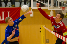 Ergebnisse Faustball Bundesliga Halle