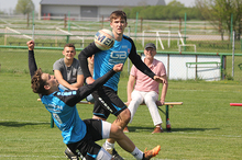 Vorschau Faustball Bundesliga Männer